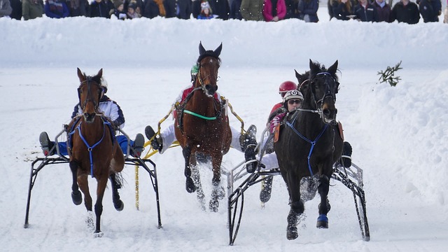 注重品牌背 注重品牌背
