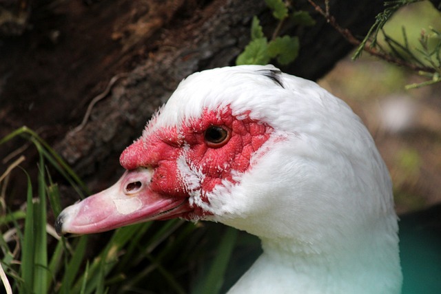 智能技术 智能技术