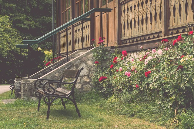 D扫描技术 D扫描技术