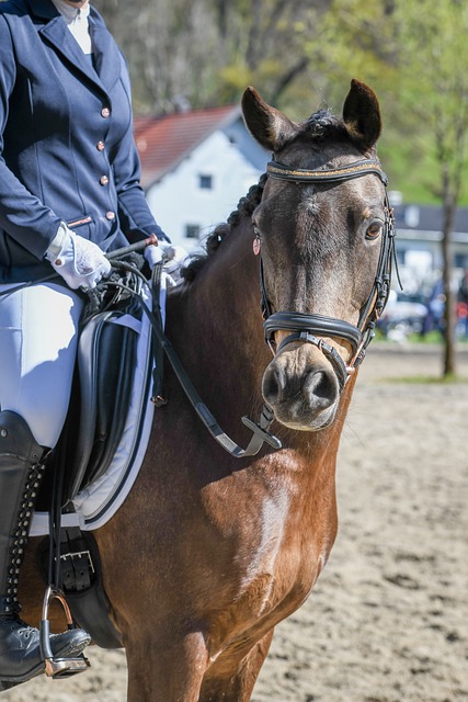 交通安检制 交通安检制