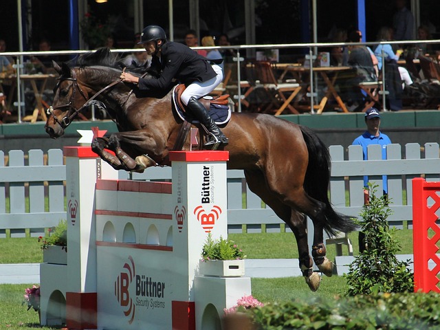 的迅速反应 的迅速反应