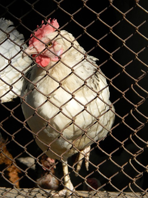 索斯蓋特也 索斯蓋特也