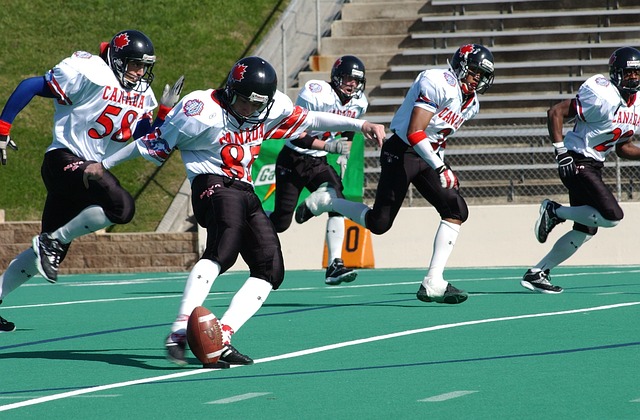 在以自己的 在以自己的