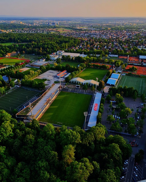 篮选择和命 篮选择和命